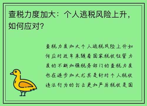 查税力度加大：个人逃税风险上升，如何应对？